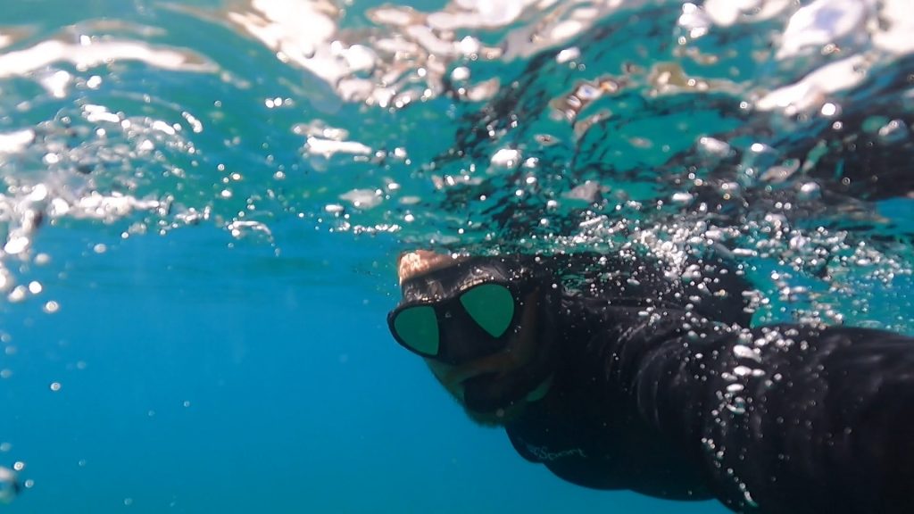 snorkeling usvi st john st thomas virgin islands national park