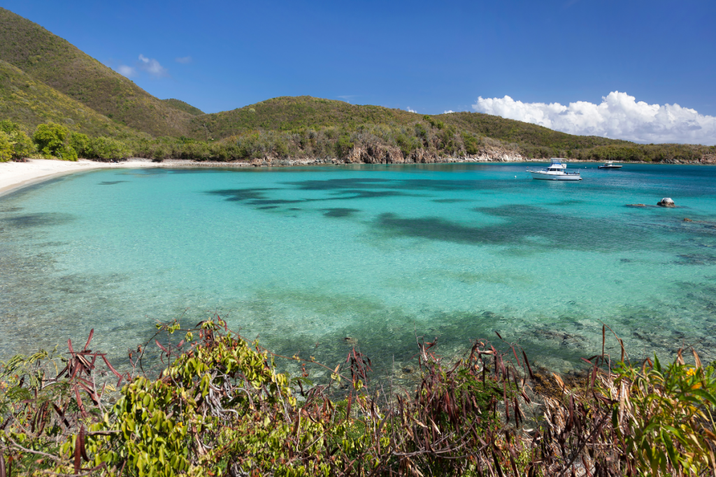 little lameshur bay st john usvi bonus time charters
