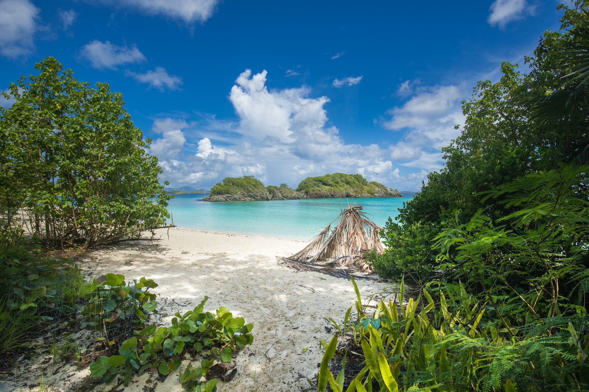 trunk bay usvi st john beaches