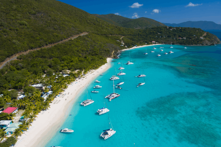 soggy dollar bar jost van dyke